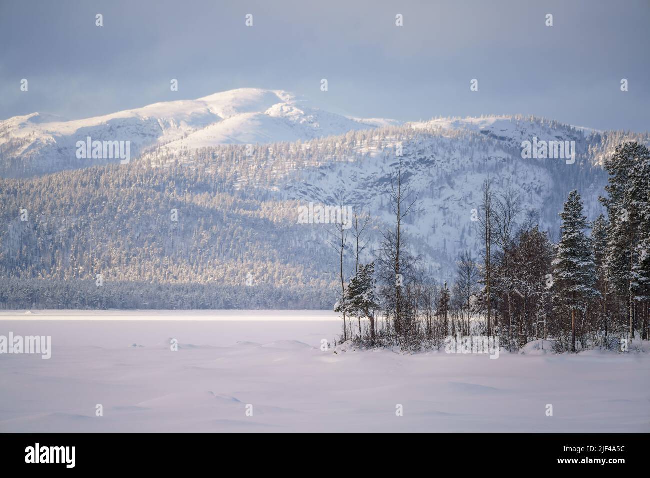 Winterlandschaft mit großem Berg im Hintergrund im Hintergrund, aufgenommen mit langer Linse, Jokkmokk County, Schwedisch Lappland, Schweden Stockfoto