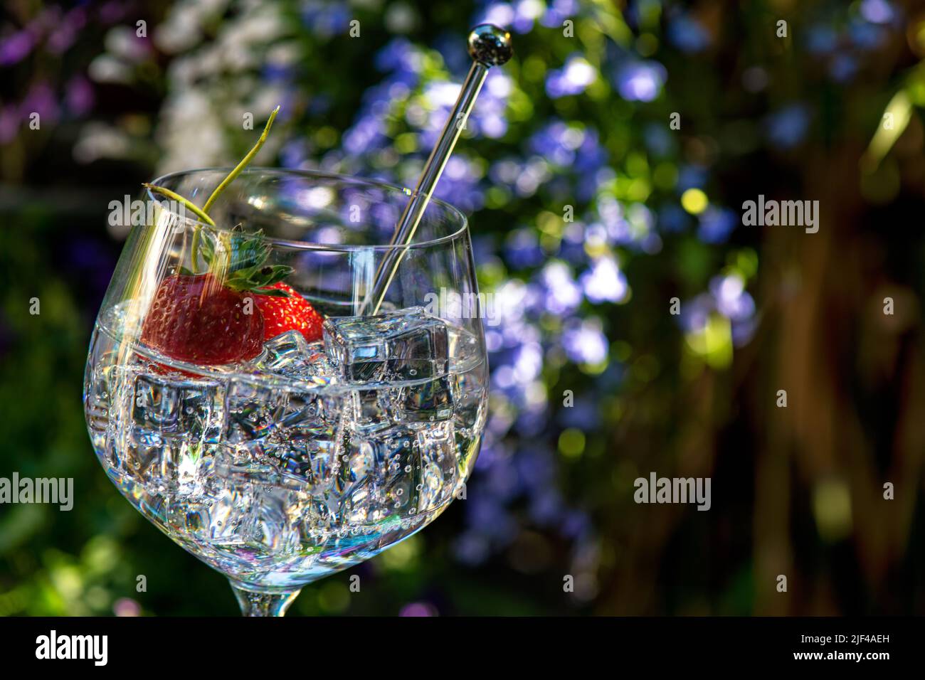 Gin und Tonic mit Erdbeeren und einem Mixer, natürliches Licht und Hintergrund, Sommergetränke Stockfoto