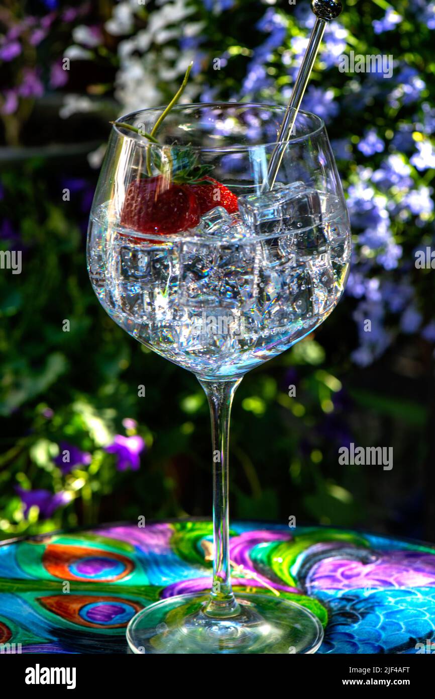 Gin und Tonic mit Erdbeeren und einem Mixer, natürlichem Licht und Hintergrund, sommerliche Drinks auf einem farbenfrohen Gartentisch Stockfoto