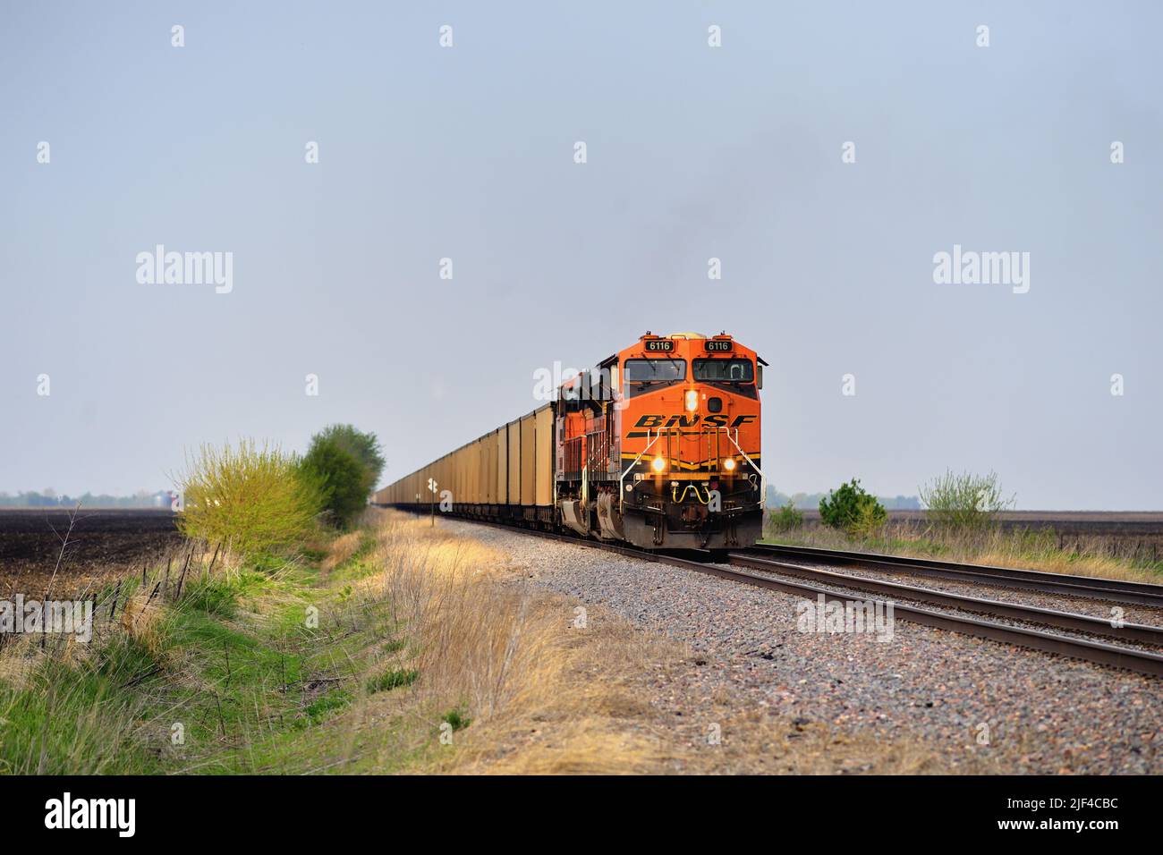 Kirkwood, Illinois, USA. Angeführt von einem Lokomotivpaar, einem Burlington Northern Santa Fe Kohlezug, der durch den Nordwesten von Illinois fährt. Stockfoto