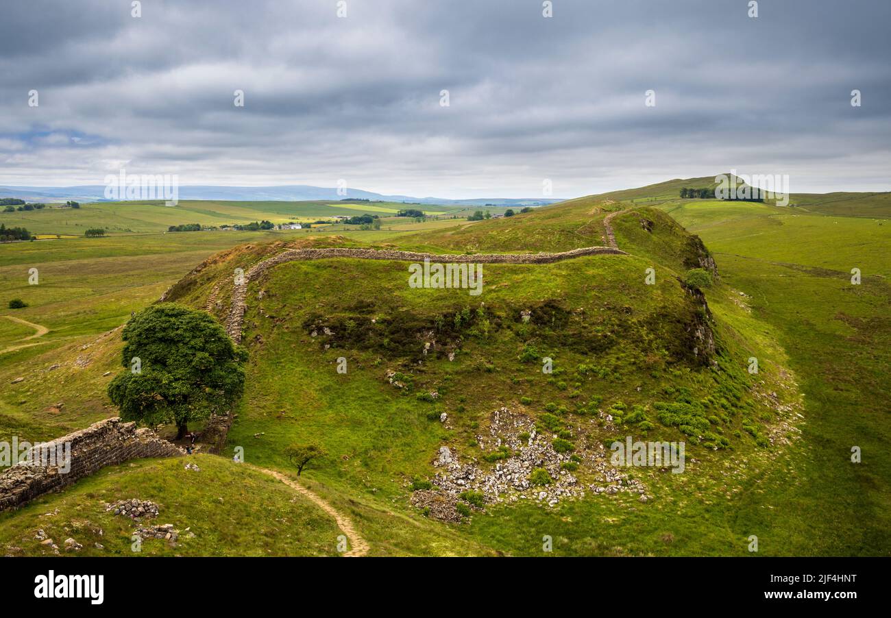 Nach Westen entlang der Hadrianmauer durch Sycamore Gap, wenn es Peel Crag bei Steel Rigg, Northumberland, England, bestiegen wird Stockfoto
