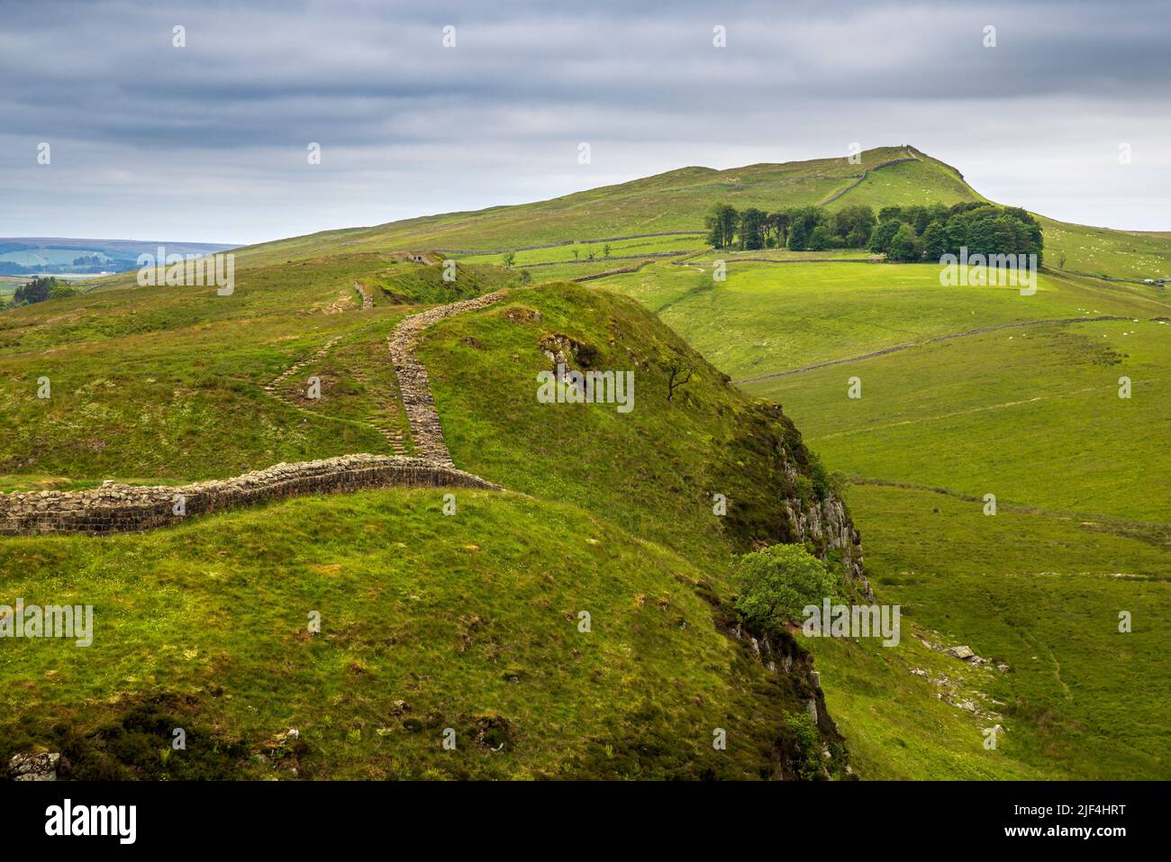 West entlang Hadrians Wall bei Sycamore Gap mit der Whin Sill Rock Formation, Northumberland, England Stockfoto