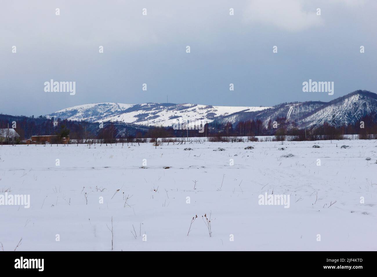 Weiße Berge in Prykarpattia, Oblast Ivano-Frankivska im Winter, Ukraine Stockfoto