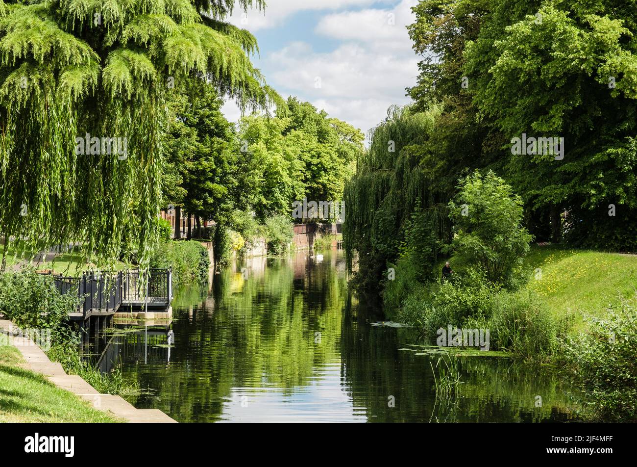 Blick entlang des von Bäumen gesäumten Flusses Welland im Sommer. Spalding, Lincolnshire, England, Großbritannien Stockfoto