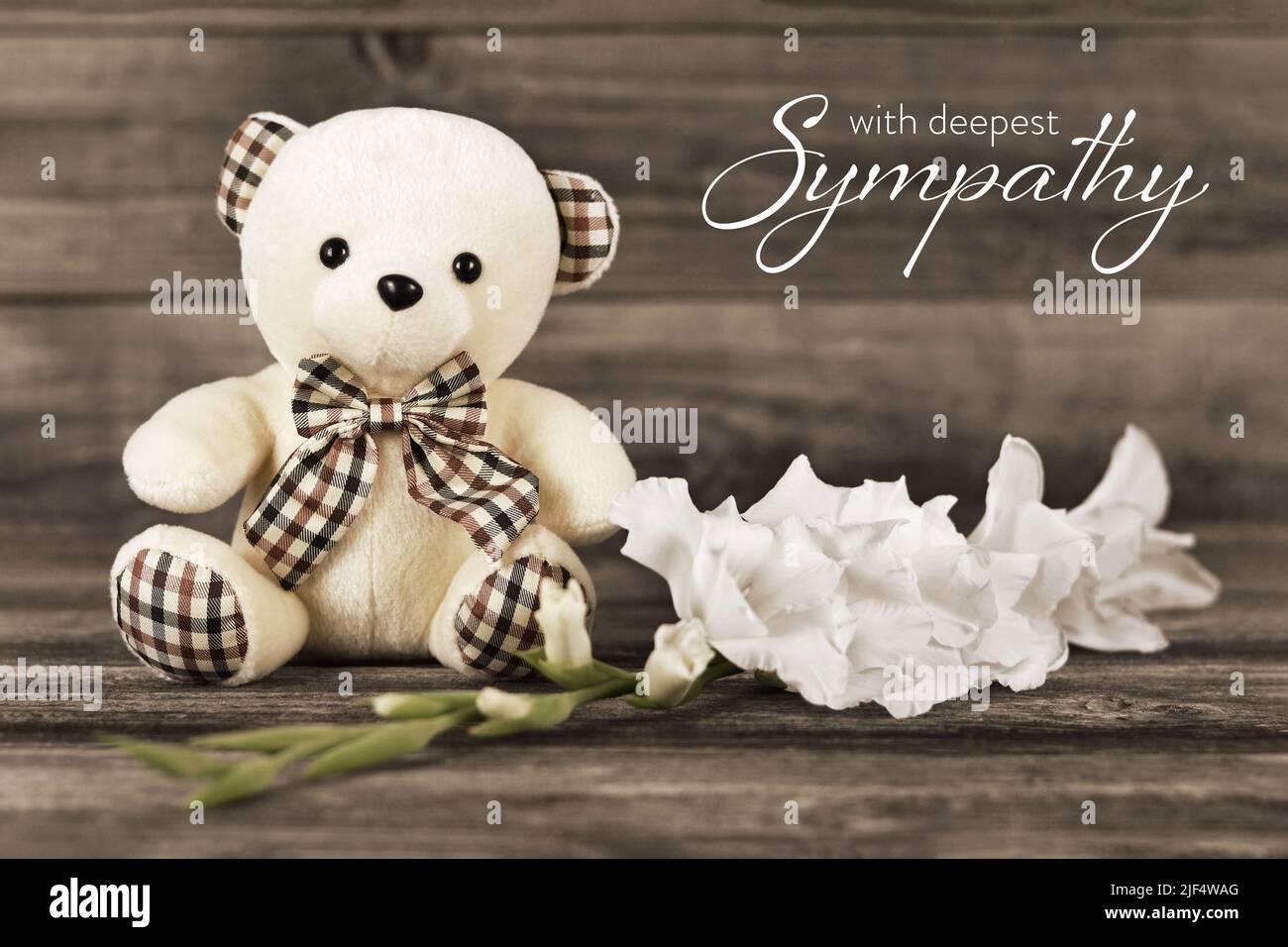 Sympathiekarte mit Teddybär und weißer Blume auf Holzhintergrund Stockfoto