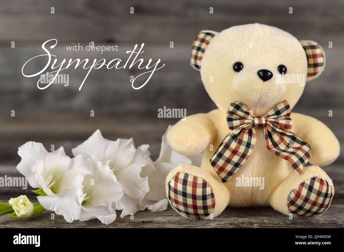 Beileidskarte mit Teddybär und weißer Blume auf Holzhintergrund Stockfoto