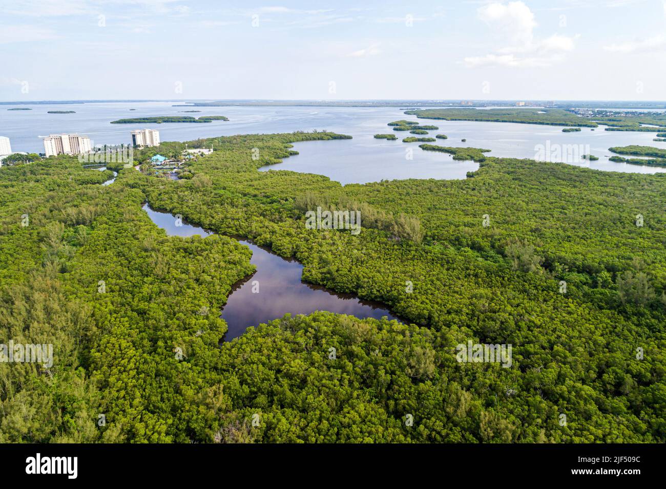 Fort Ft. Myers Florida, Feuchtgebiete Punta Rassa Cove Golf von Mexiko Caloosahatchee River, Luftaufnahme von oben, natürliche Landschaft Stockfoto