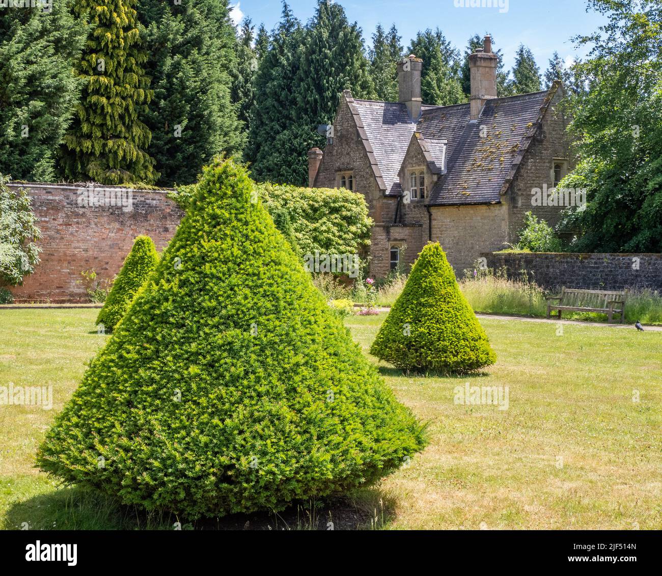 Garden Cottage und Topiary Yews in Newstead Abbey in Nottinghamshire, Großbritannien Stockfoto