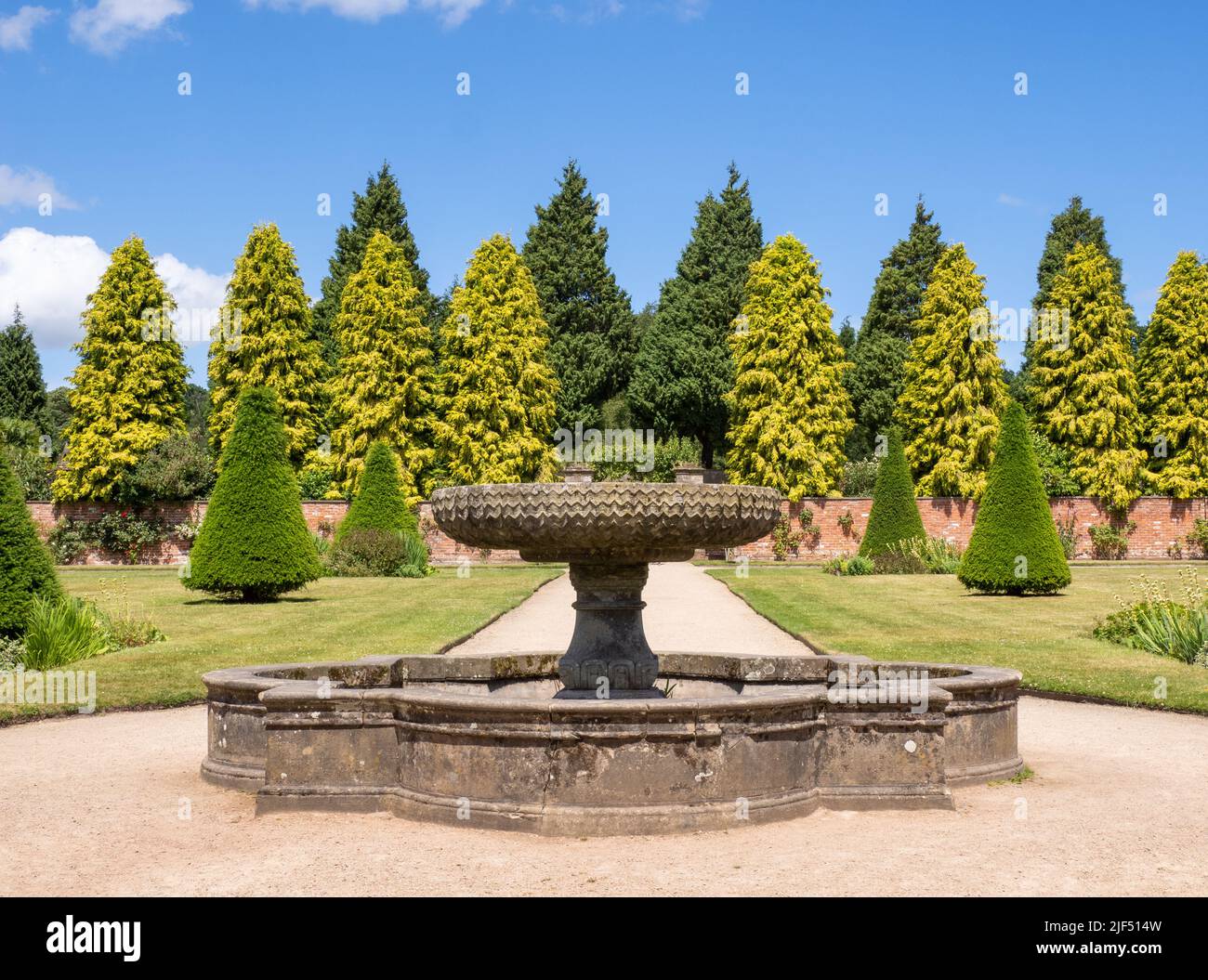 Reife Nadelbäume mit kontrastierendem Laub bilden eine eindrucksvolle Kulisse für einen Pool und Brunnen in Newstead Abbey Gardens in Nottinghamshire, Großbritannien Stockfoto