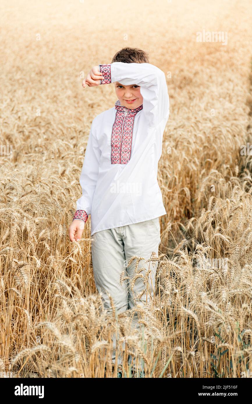 Weiche selektive Fokus des Kindes in traditionellen weißen und roten bestickten ukrainischen Hemd auf dem Hintergrund des Weizenfeldes an sonnigen Tag. Kerl lächelt. Unabhängigkeitstag, Verfassung der Ukraine. Vertikal Stockfoto
