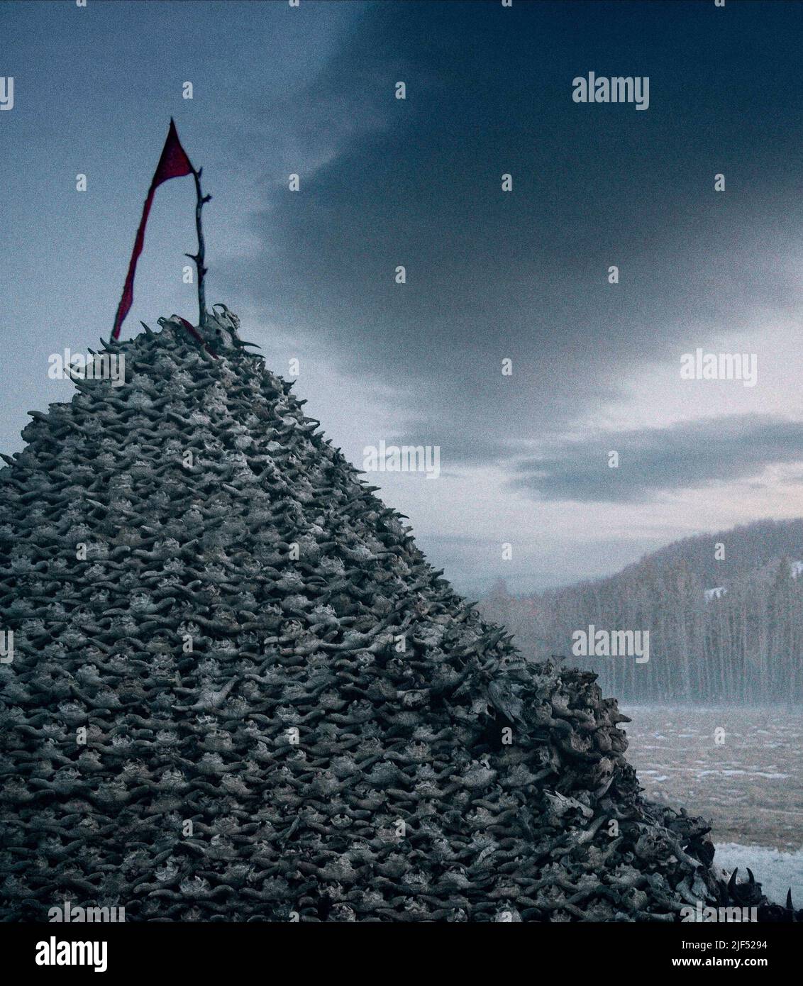 LEONARDO DICAPRIO, der Widergänger, 2015 Stockfoto