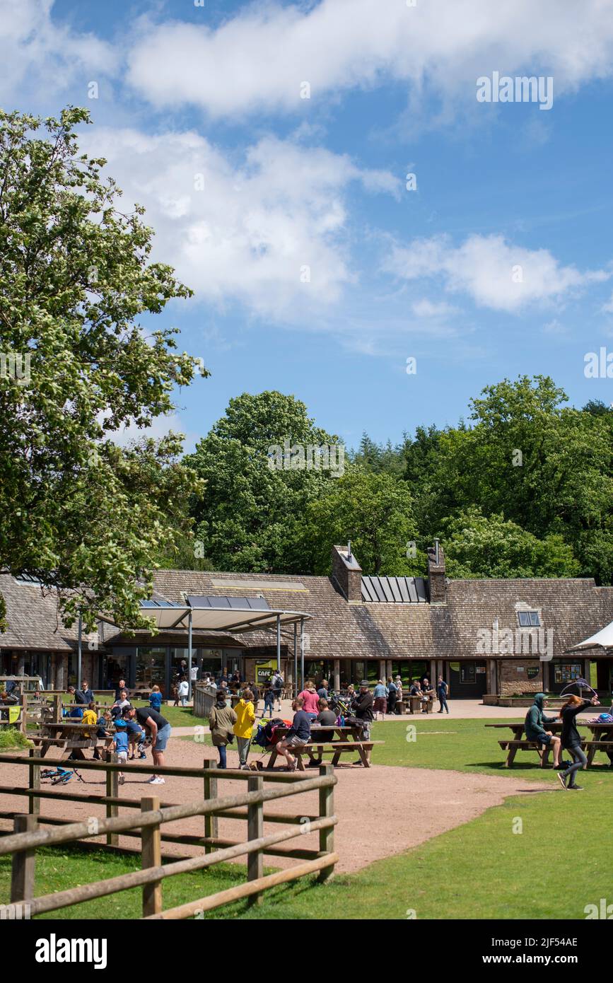 Allgemeine Ansicht des Cafés am Beechenhurst Forest im Forest of Dean, England, Großbritannien, an einem sonnigen Sommertag. Stockfoto
