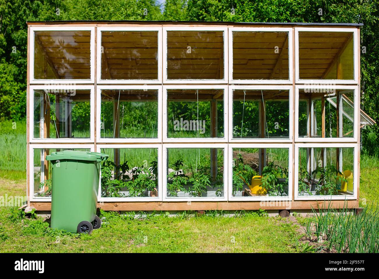 Hölzernes, hausgemachtes Gemüse-Gewächshaus mit biologischen Pflanzen Stockfoto