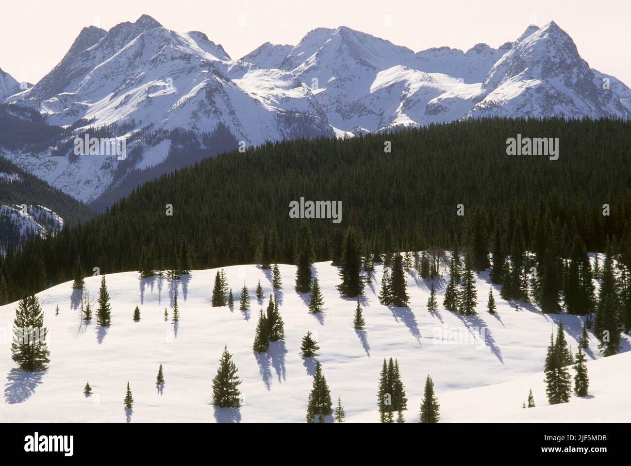 Rocky Mountains, San Juan National Forest, Colorado, USA Stockfoto