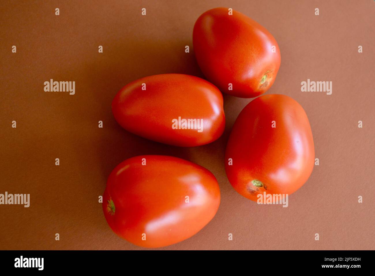 Reife Roma-Tomaten vor einem einfachen Hintergrund Stockfoto