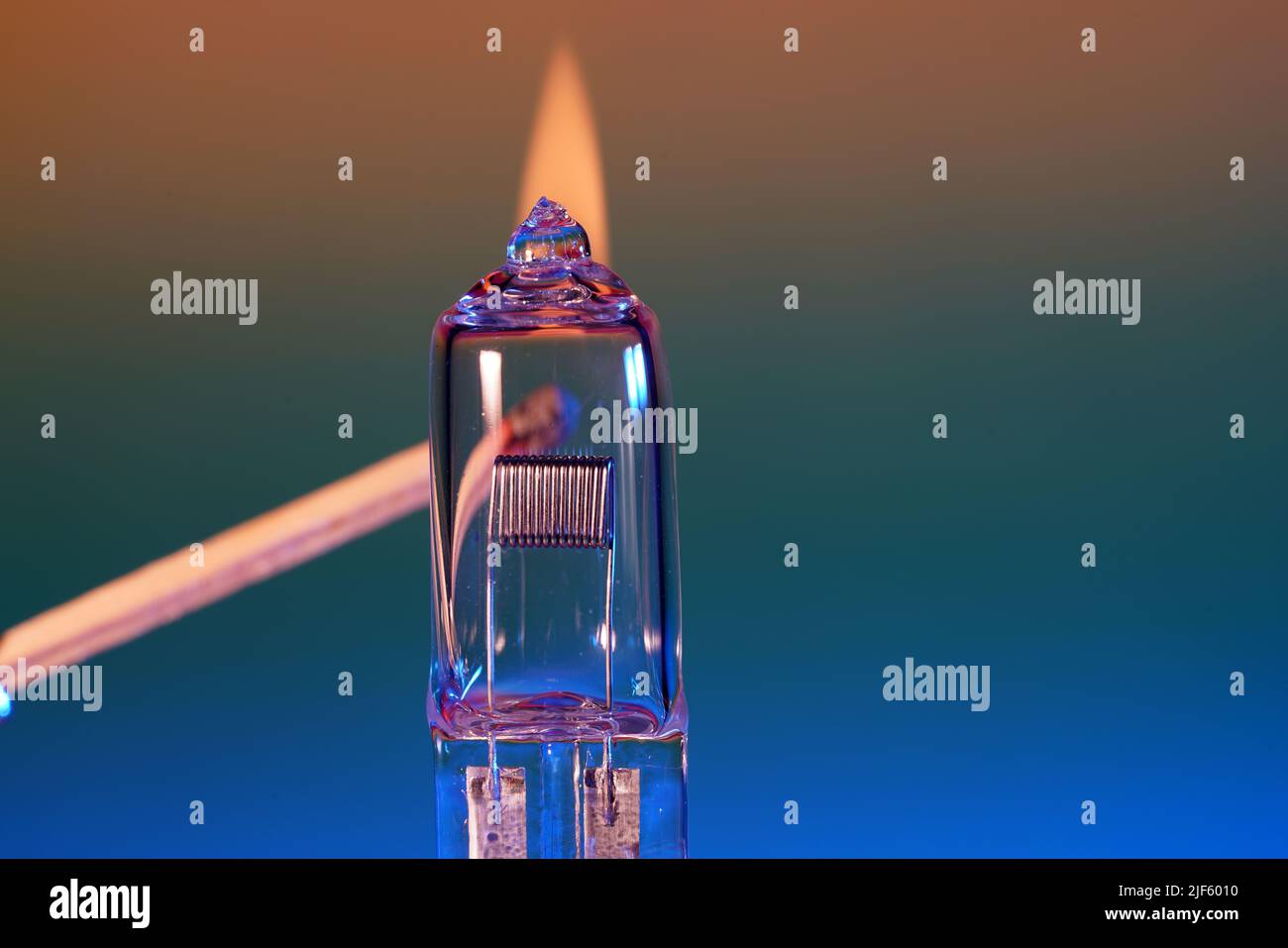 Glühbirnen, Halogen-, Glühlampen sind Reservelampen für Kraftfahrzeuge im 12-Volt-Betrieb, die im Studio fotografiert wurden Stockfoto