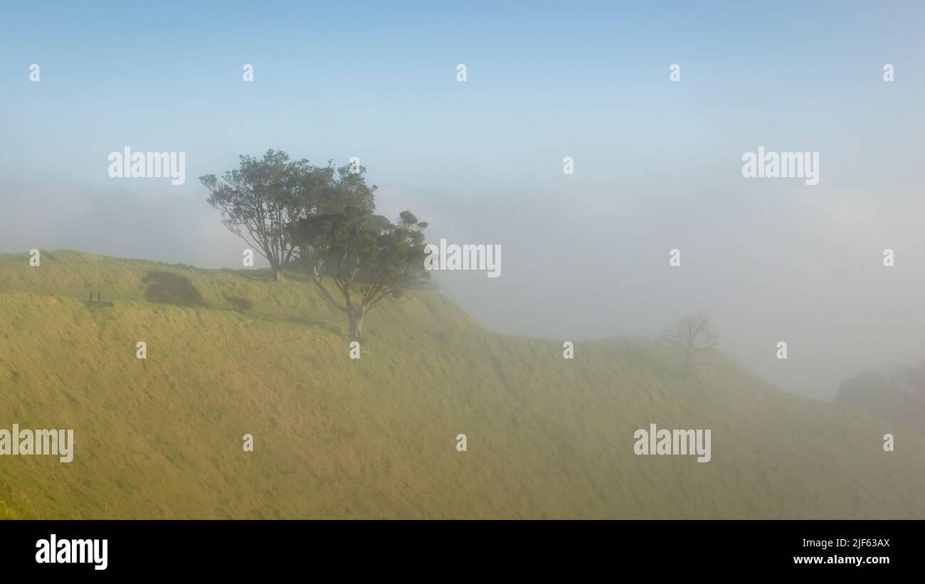Mt Eden-Gipfel im dichten Morgennebel, Auckland. Stockfoto