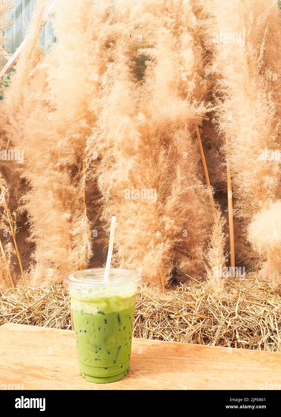 Grüner Tee Milch im Café schmücken mit trockenem Gras Blume Stockfoto