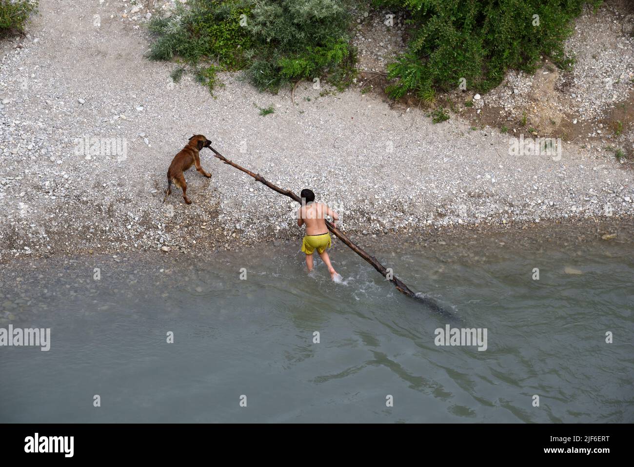 Hundebesitzer & Hund ziehen riesigen Stock aus dem Fluss Aigues Nyons Frankreich Stockfoto
