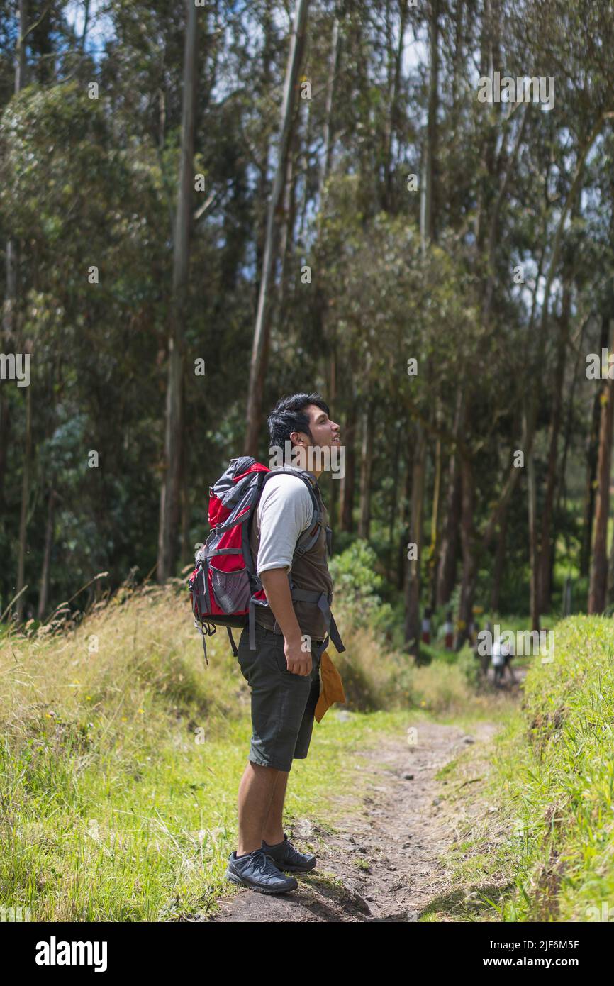 Seitenansicht des frohen hispanischen Mannes, der die Natur bewundert, während er durch die Landschaft der Provinz Pichincha, Ecuador, reist Stockfoto