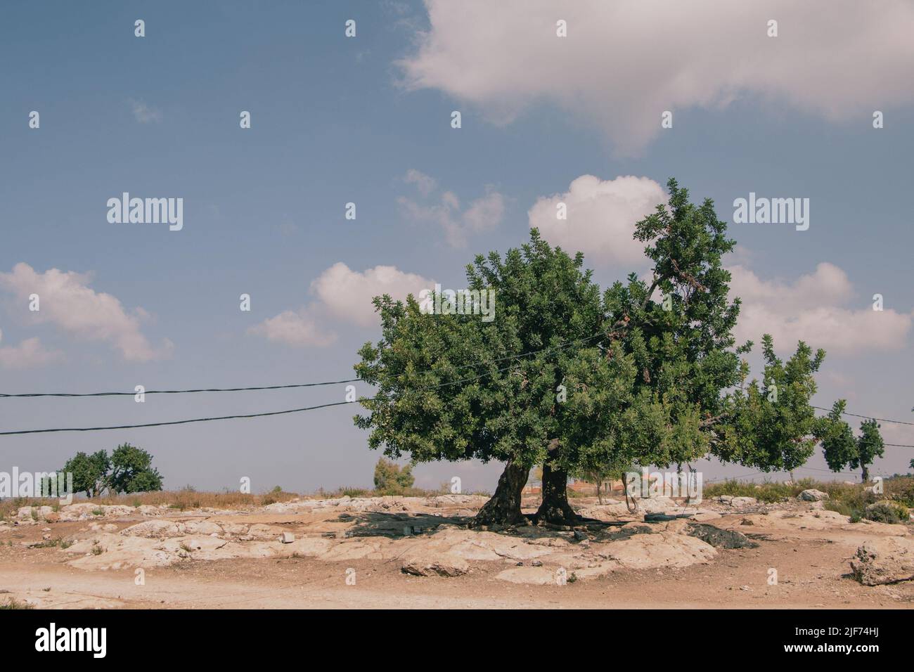 Ein Baum, unter dem die Kinder manchmal ihren Schulunterricht haben. Am Nachmittag werden syrische Kinder vor einem Flüchtlingslager in Tyrus im Süden des Libanon gesehen. Das Land war von politischen Konflikten, einer schweren Finanzkrise und der Corona-Pandemie geprägt, und die Regierung nahm die meisten Flüchtlinge weltweit auf, schätzungsweise 1,5 Millionen. Stockfoto