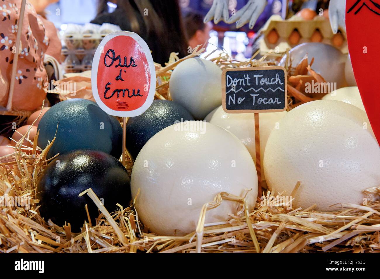 Ostrich egg food Fotos und Bildmaterial in hoher Auflösung Alamy