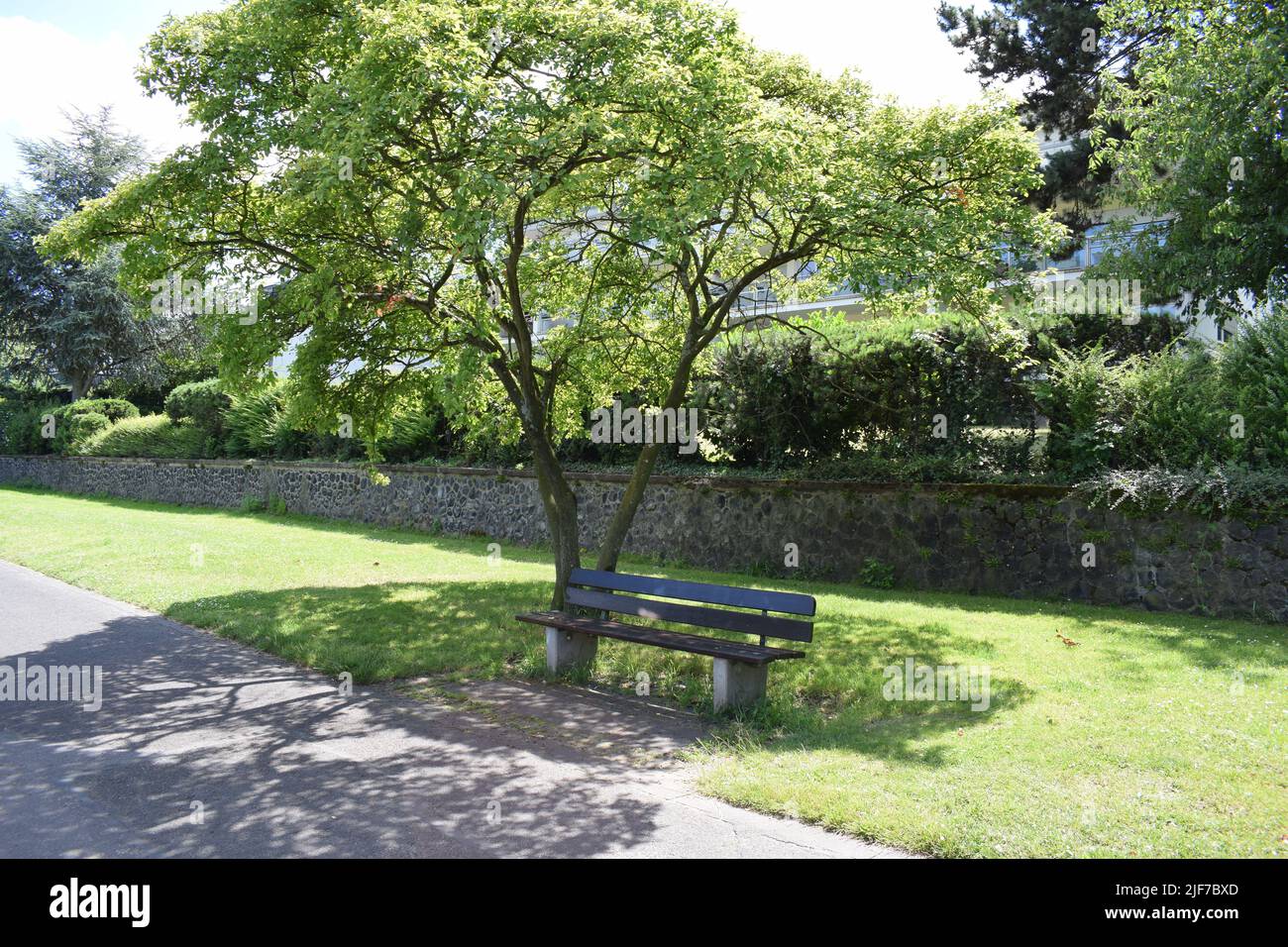 Rheinufer in Bonn Bad Godesberg Stockfoto