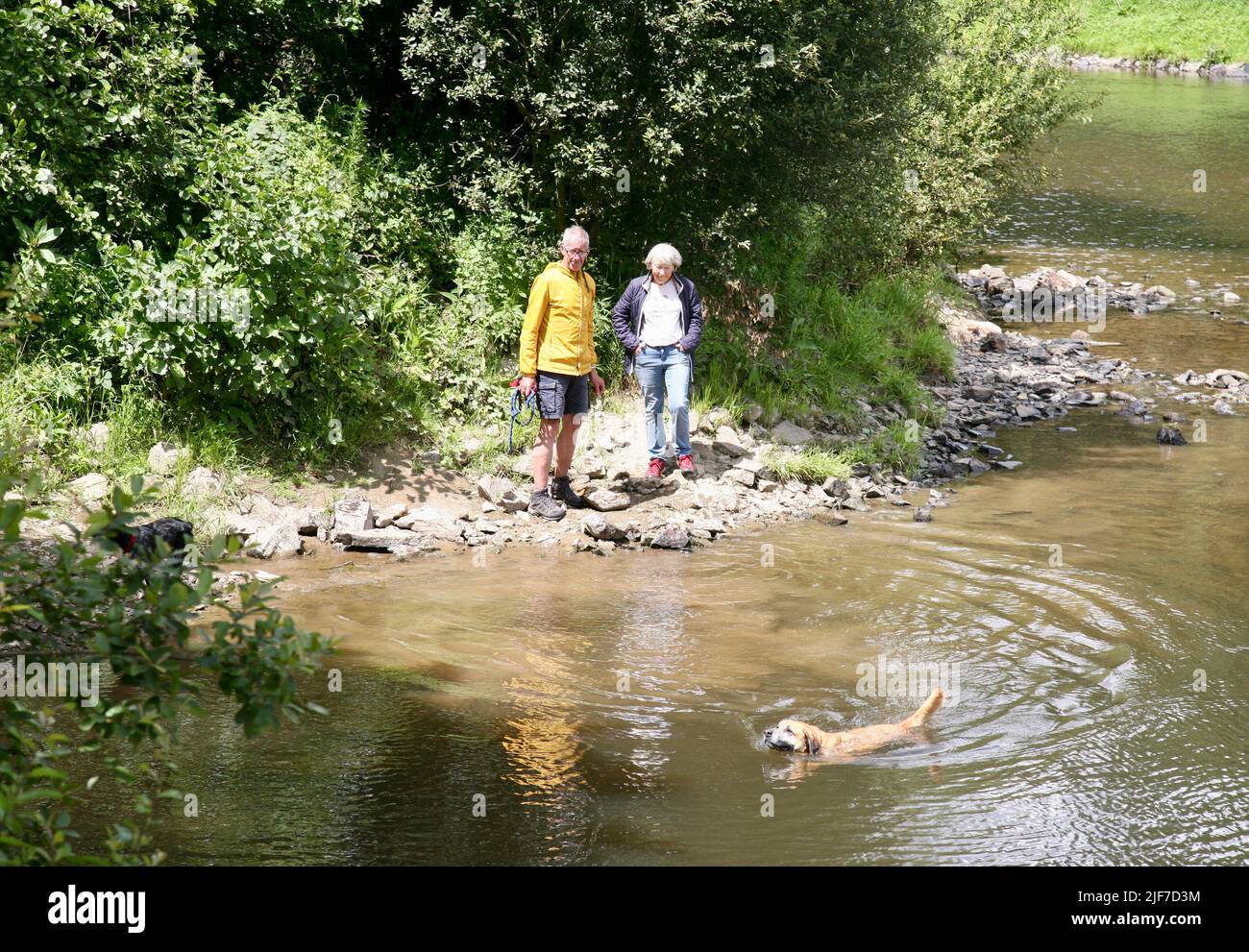 Hundewanderer am Fluss, Saint-Lo, Manche, Normandie, Frankreich, Europa Stockfoto