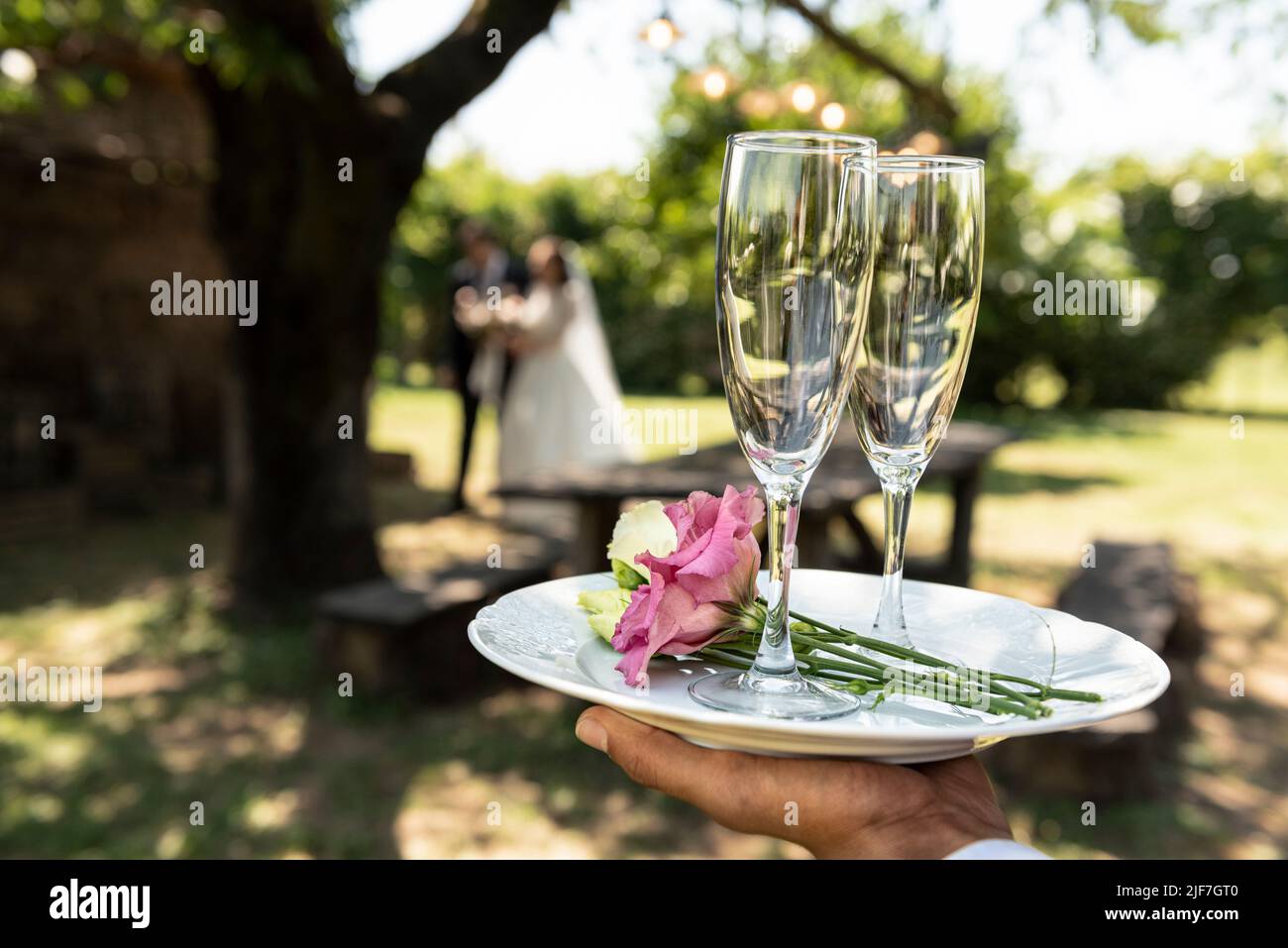 Hochzeitstoast. Kellner mit Gläsern für den Toast der Braut und des Bräutigams. Stockfoto