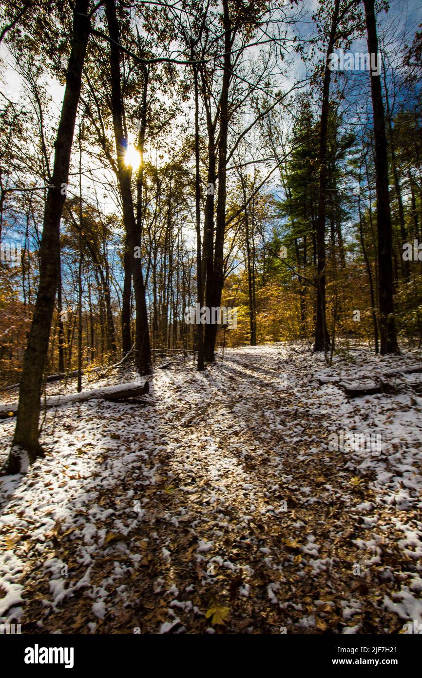 Hemlock Cliffs im Herbst nach einem leichten Schnee, Indiana Stockfoto