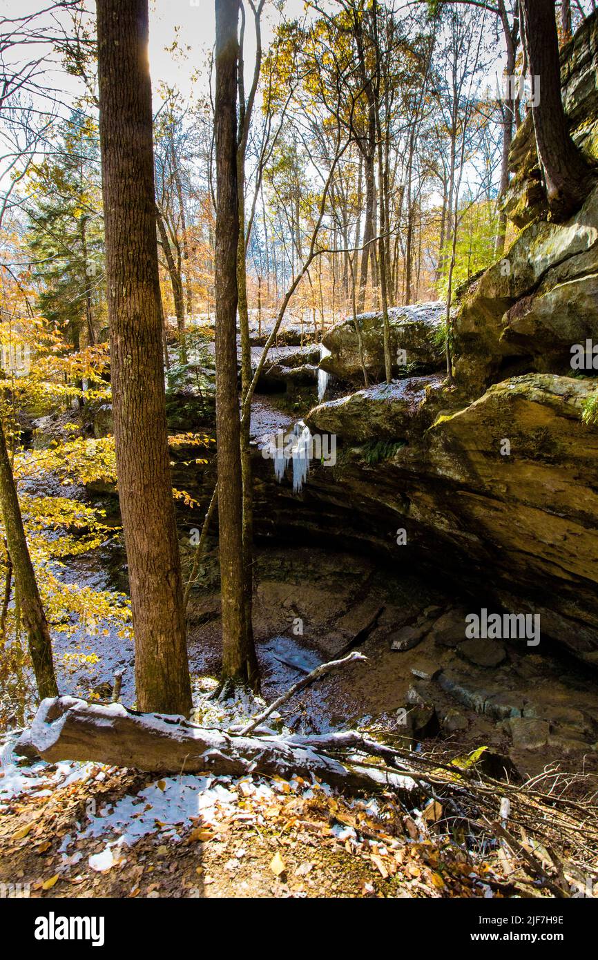 Hemlock Cliffs im Herbst nach einem leichten Schnee, Indiana Stockfoto