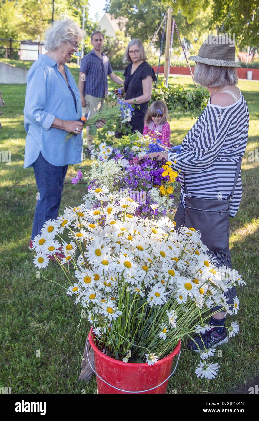 Mittsommer in Schweden binden Eltern und Kinder Blumen auf einem großen Kranz in malmkoping, Schweden Stockfoto