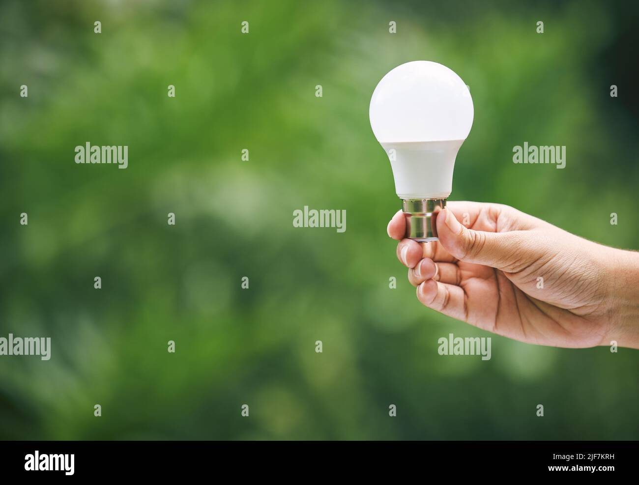 Nahaufnahme einer Hand, die eine Glühbirne in der Natur hält. Neue Ideen für eine nachhaltige Energieoption. Grüne Energie ist die Zukunft Stockfoto