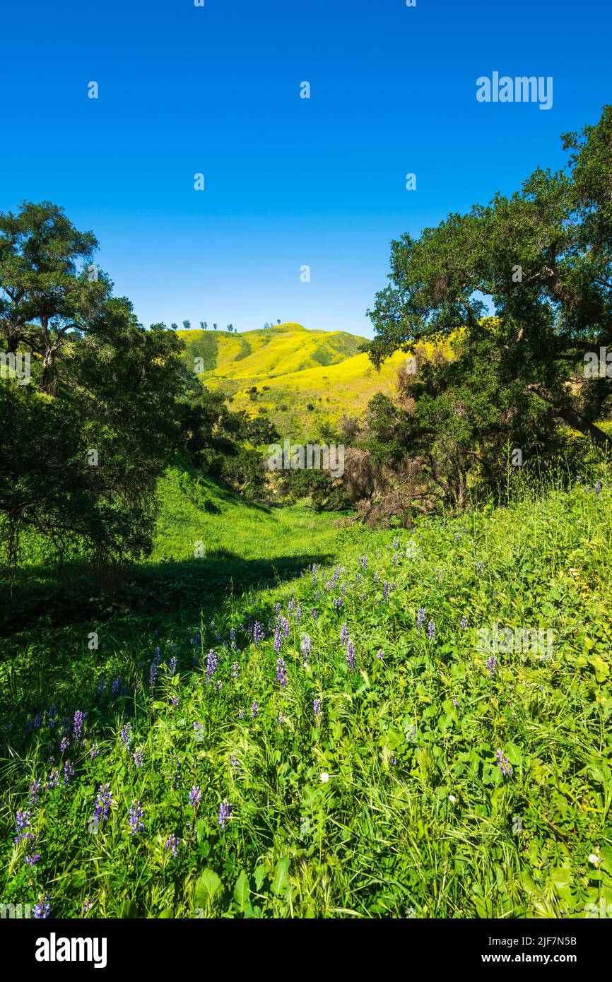Harmon canyon bewahren -Fotos und -Bildmaterial in hoher Auflsung  Alamy