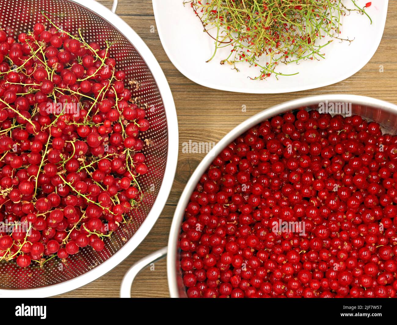 Draufsicht auf gereinigte rote Johannisbeerbeeren in einem Topf für die Herstellung von Fruchtsaft oder Marmelade, Entfernen des Stiels der Beeren Stockfoto