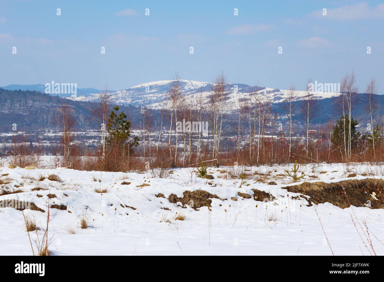 Weiße Berge in Prykarpattia, Oblast Ivano-Frankivska im Winter, Ukraine Stockfoto