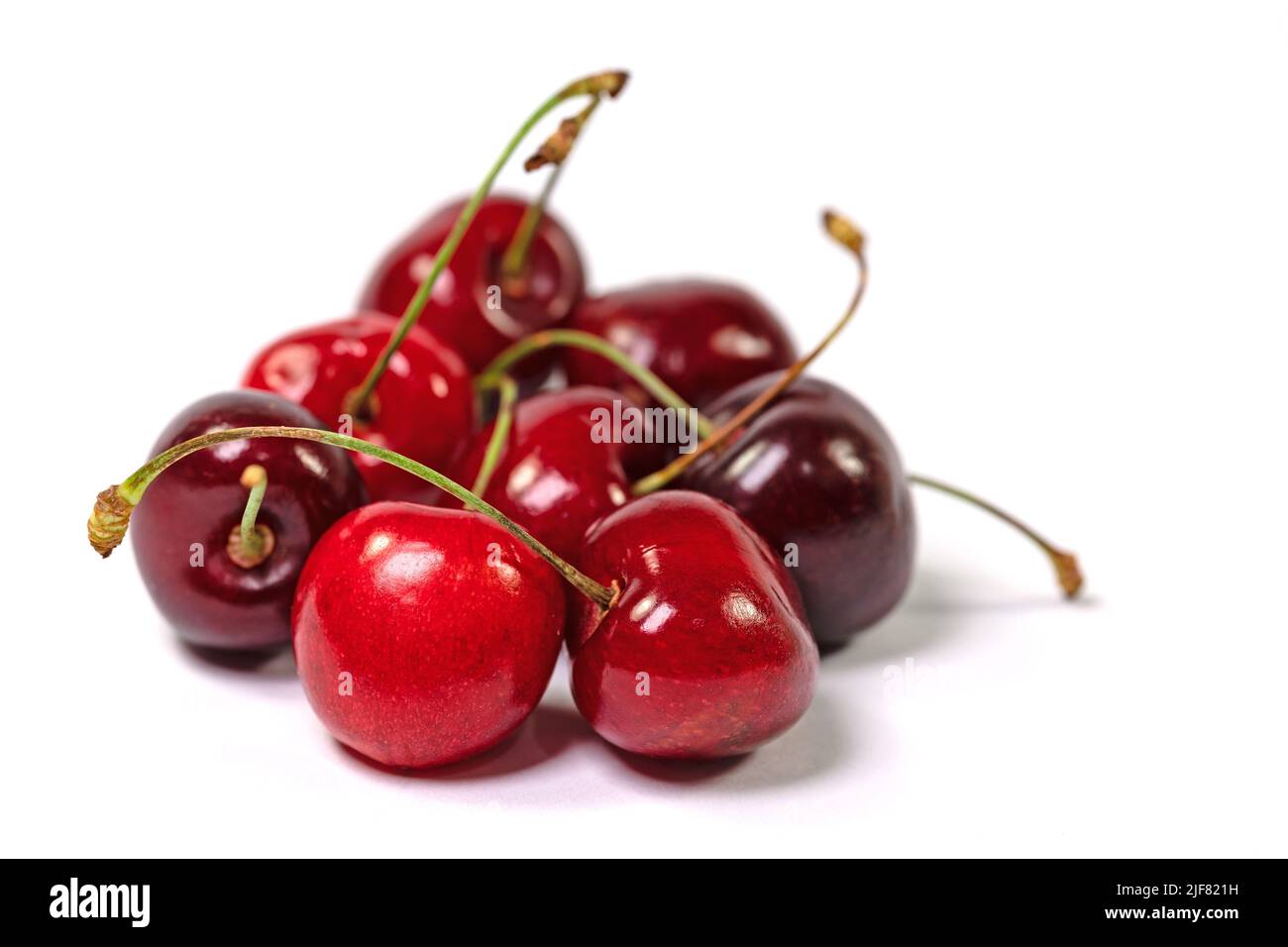 Süßkirschen, Prunus avium, vor weißem Hintergrund Stockfoto