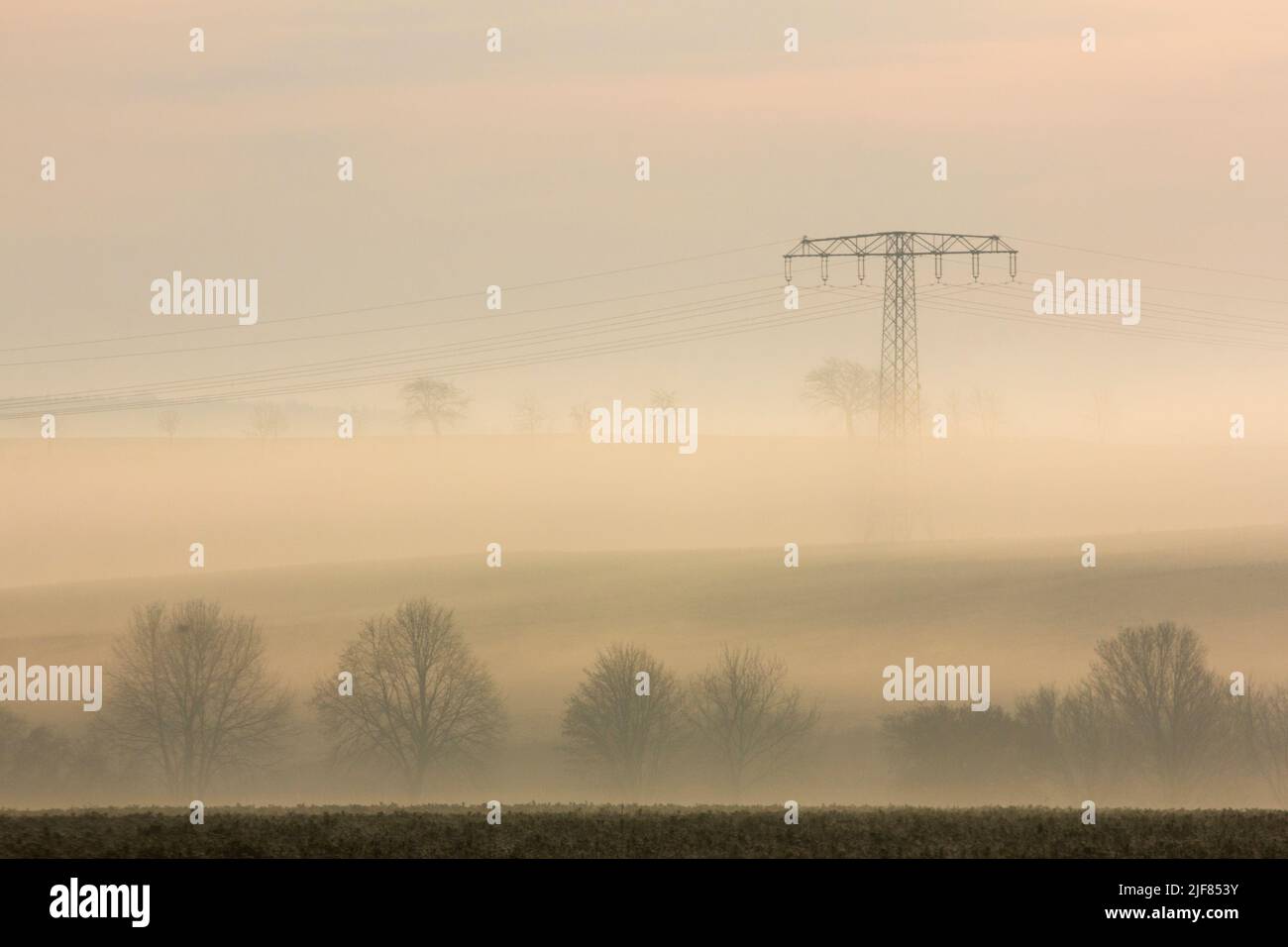 Silhouetten von Bäumen und einem Hochspannungsmast im Nebel an einem Morgen im Herbst, Silhouetten von Bäumen und Hochspannungsmasten im nebligen Morgen Stockfoto