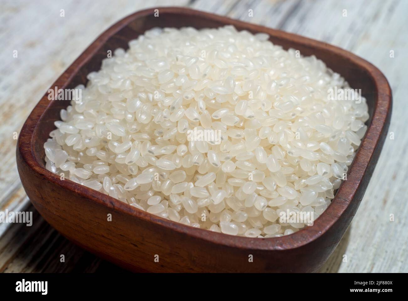 Nahaufnahme von japanischer Reis. Japonica Reiskörner. Manchmal auch Sinica-Reis genannt, ist eine der beiden wichtigsten heimischen Arten von asiatischen Reissorten. Stockfoto