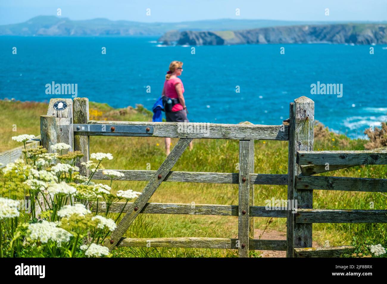 Frau/Frau auf dem Wales Coast Path in Pembrokeshire Stockfoto