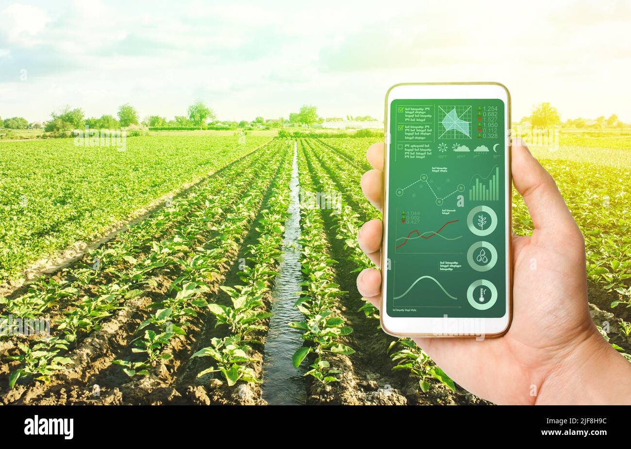 Innovative Technologien in der Landwirtschaft. Der Einsatz von Internet of Things-Technologien in der Landwirtschaft. Steigern Sie die Ernteeffizienz und -Qualität, reduzieren Sie das Gewächshaus Stockfoto