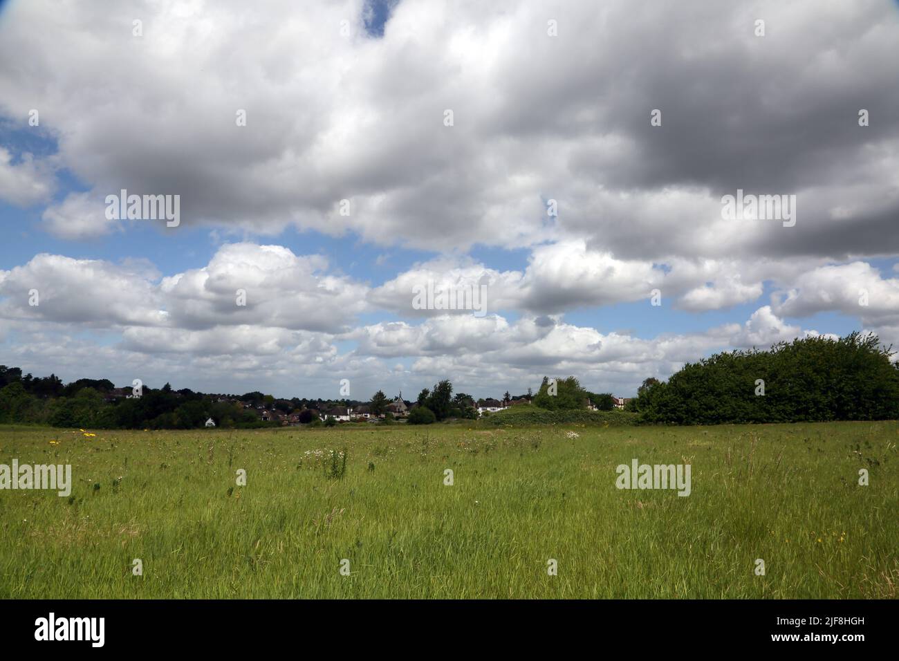 Howell Hill Nature Reserve Landscape Epsom Surrey England Stockfoto