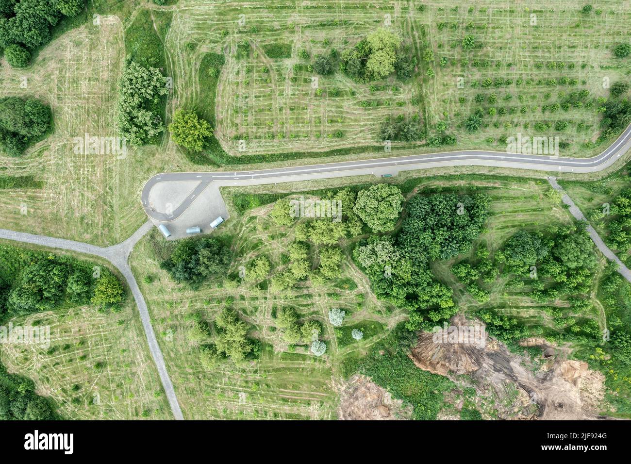 Fußwege und Fahrradweg im grünen Sommerpark. Luftaufnahme von oben. Stockfoto