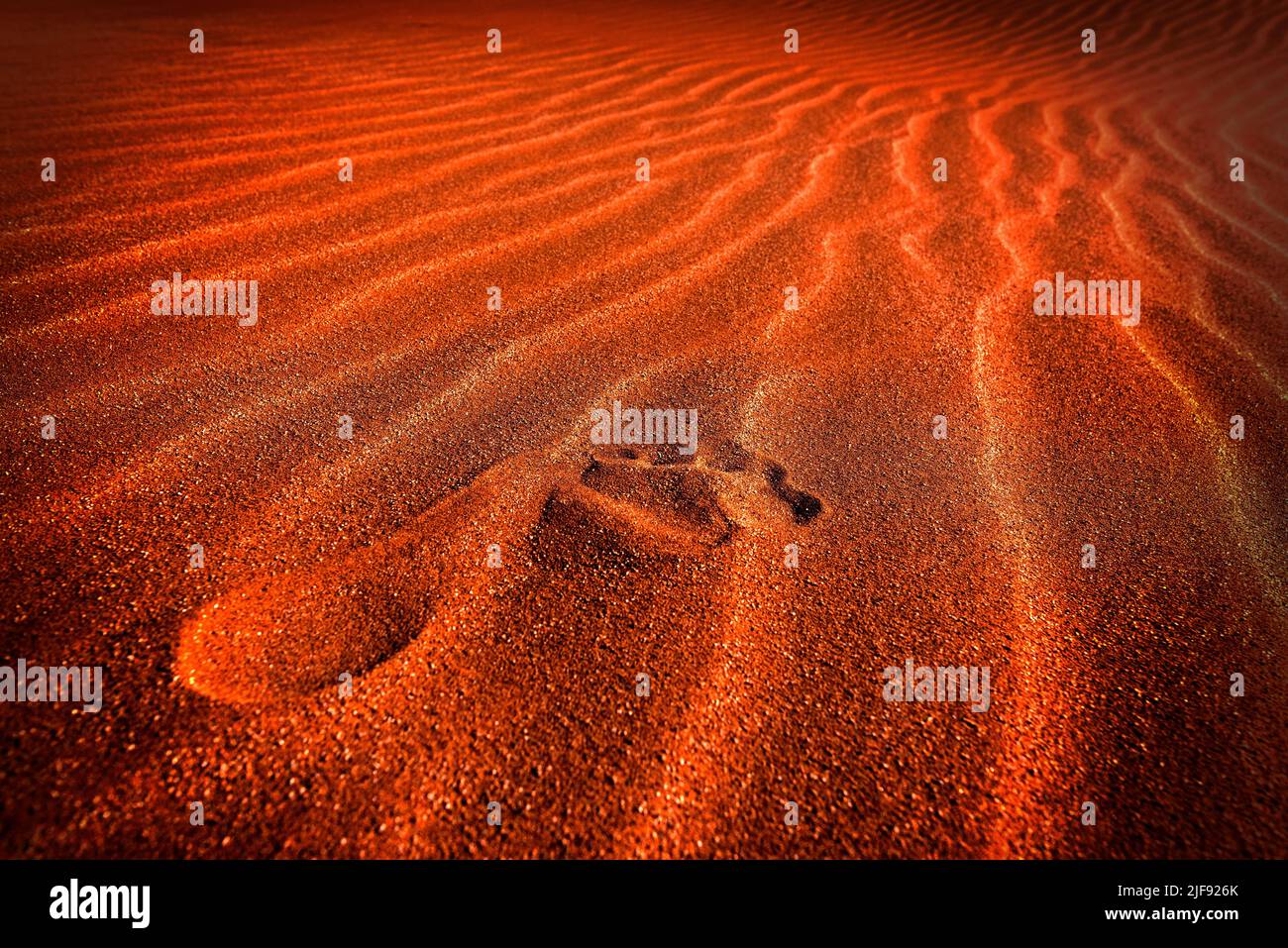 Sanddünen in der Wüste Namib, Namibia, Stockfoto