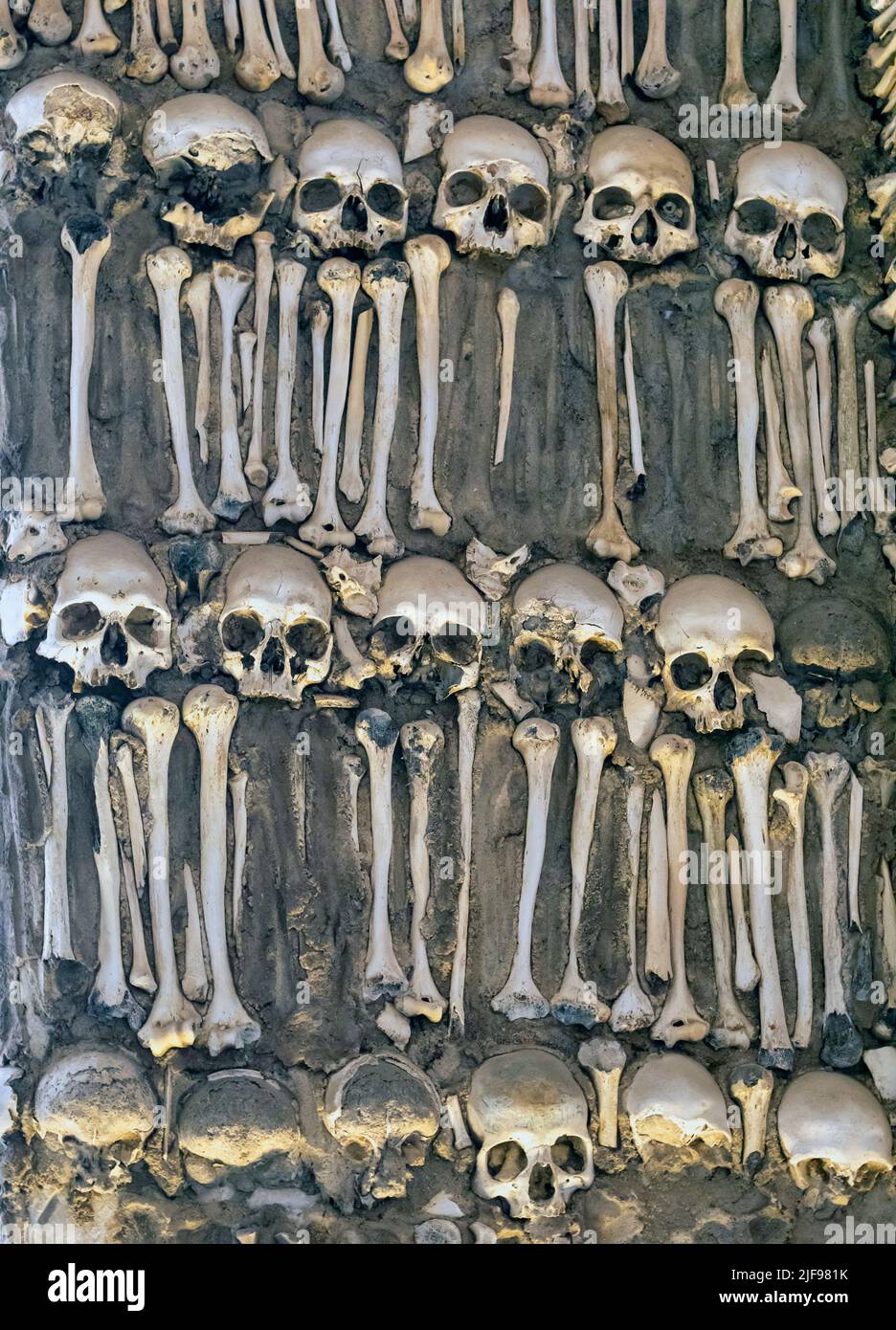 Schädel und Knochen, die in die Mauern der Capela dos Ossos aus dem 17.. Jahrhundert eingeklebt wurden - die Kapelle der Knochen, neben dem Eingang zur Kirche St. Franci Stockfoto