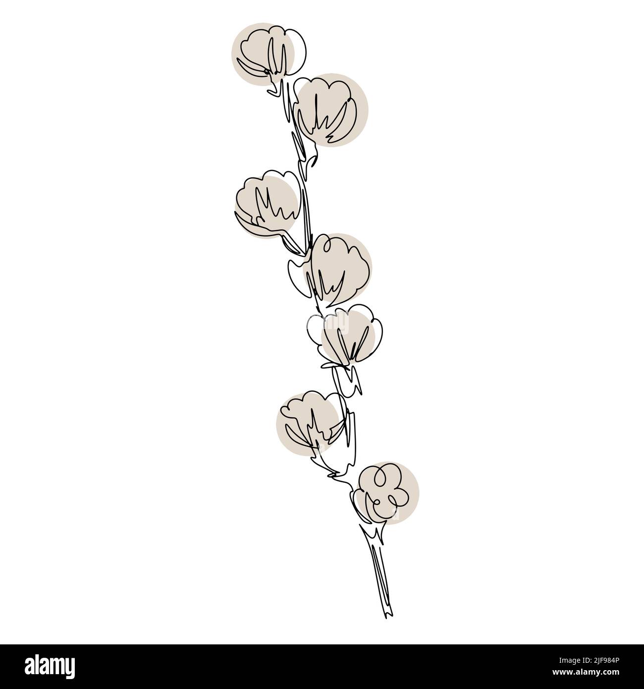 Baumwollzweig mit Ganzzolllinien-Kunstvektor. Botanische natürliche Dekoration Baumwollzweig isoliert Illustration. Stiel mit Knospen eine Linie Stock Vektor