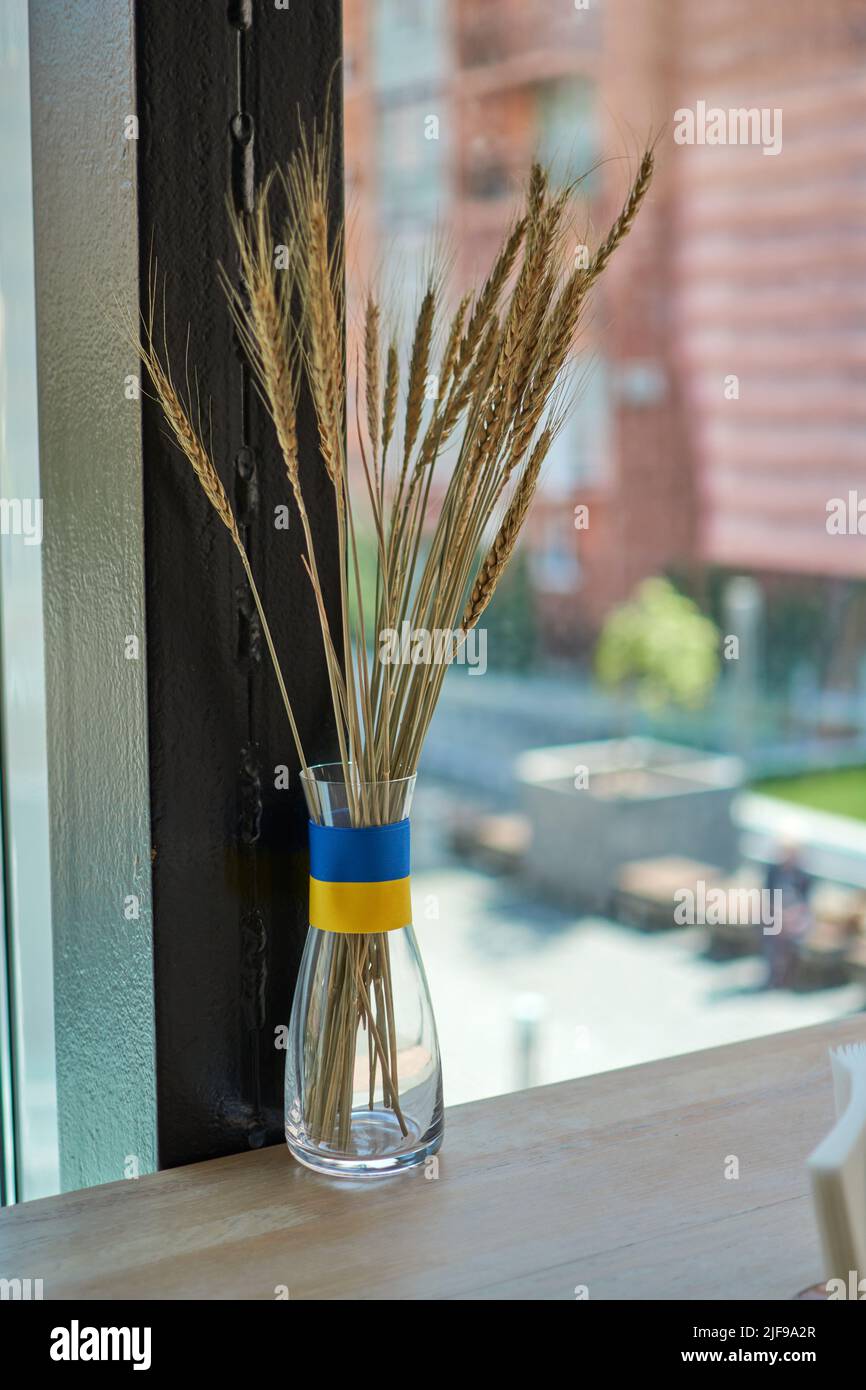 Die ukrainische gelb-blaue Flagge unterstützt die Ukraine. Kein Krieg, stoppt russland, betet für Frieden. Ukrainische Krise, russische Aggression in der Ukraine. Krieg Russlands gegen die Ukraine. Stockfoto