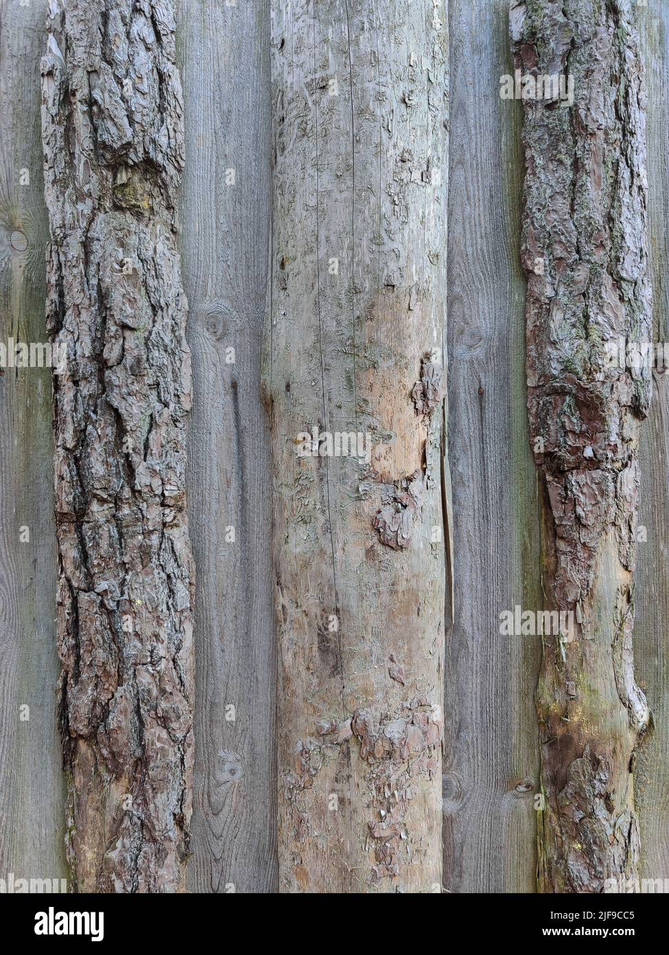 Wand aus unbehandeltem Holz gebaut. Alte Protokollstruktur. Vertikale Holzplanke Hintergrund. Stockfoto