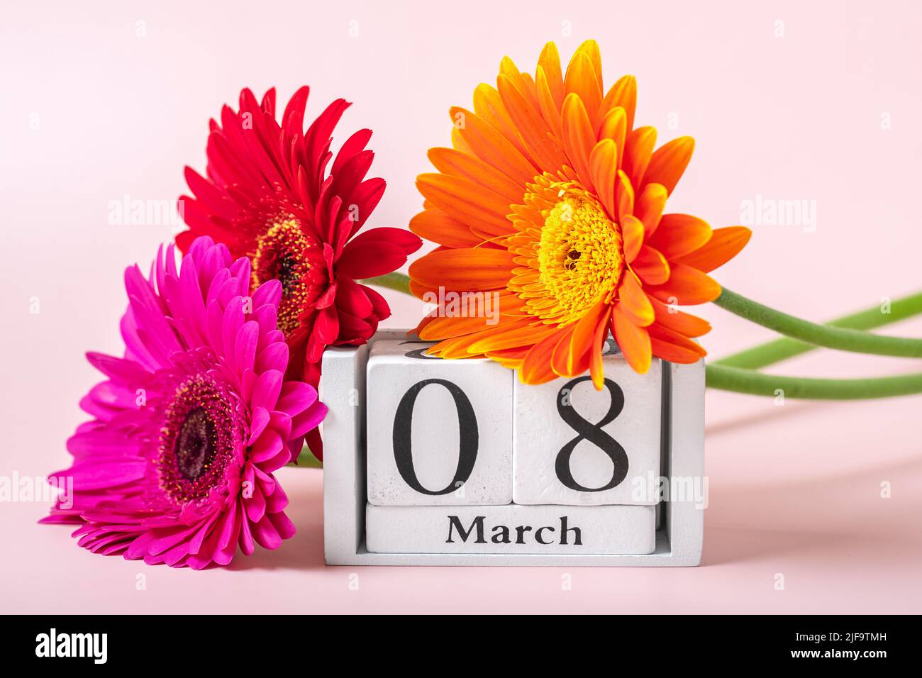 Blumenstrauß Gerbera, Kalender mit Datum 08. märz auf rosa Hintergrund Weihnachtskarte Internationaler Frauentag Konzept Flat Lay Draufsicht. Stockfoto