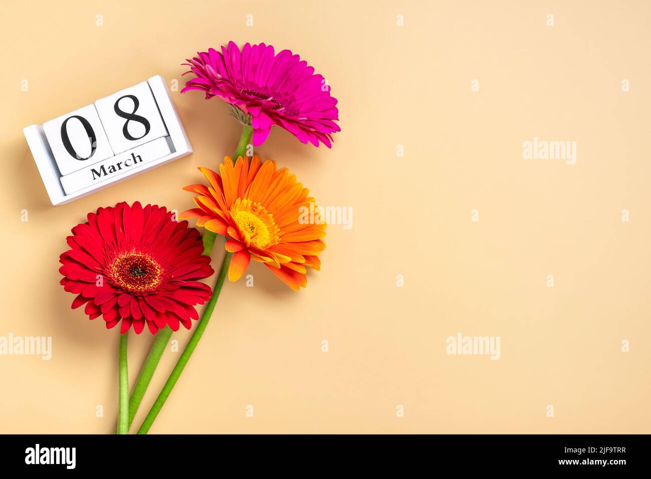 Blumenstrauß Gerbera, Kalender mit Datum 08. märz auf beigem Hintergrund Weihnachtskarte Internationaler Frauentag Konzept Flat Lay Draufsicht. Stockfoto